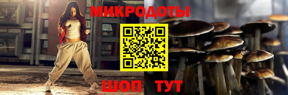 Октябрьский  Псилоцибиновые грибы Psilocybe  Псилоцибиновые грибы прущие грибы  Вход с VPN 